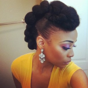 protective-hairstyles-for-natural-hair-updo