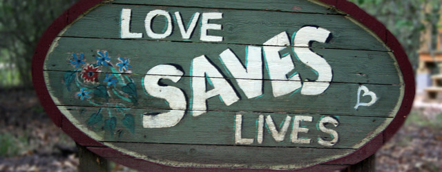 love covers a multitude of sins